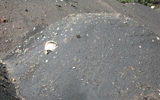 μη επικίνδυνα απόβλητα